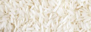 Un gros plan de riz