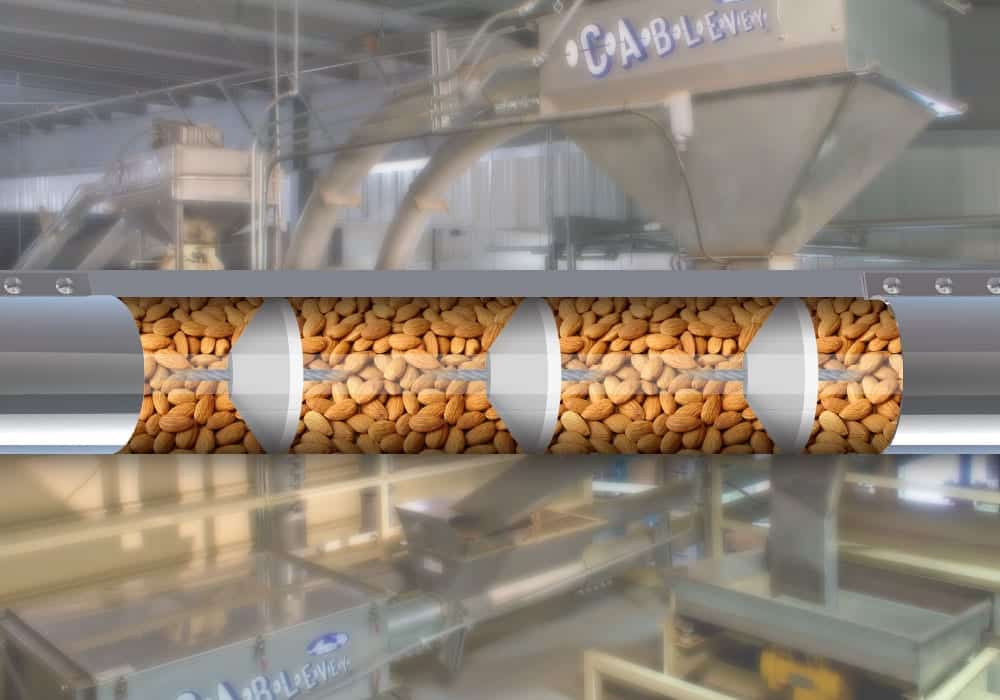 Almonds conveying