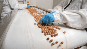 What is the Benefit of Using a Conveyor System in the Food Industry?