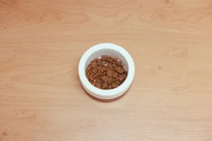 Un plato de comida seca para mascotas