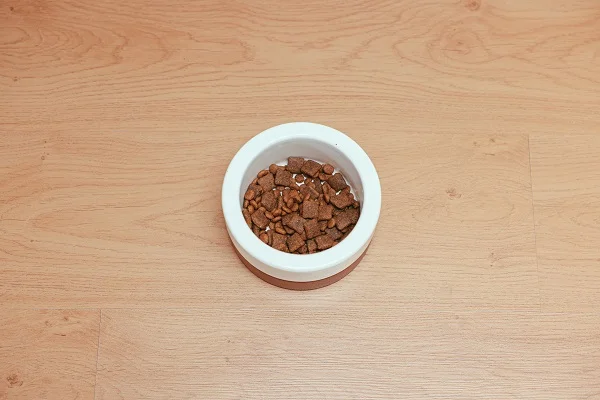 A bowl of dry pet food