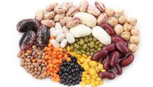 How to Maintain Quality in Dried Bean Processing and Distribution