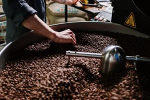 Un hombre junto a una cinta transportadora que procesa granos de café