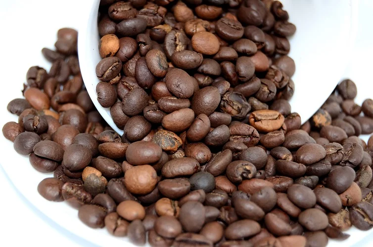Procesamiento de granos de cafe