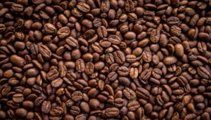 Die Entwicklung der Kaffeebohnenindustrie