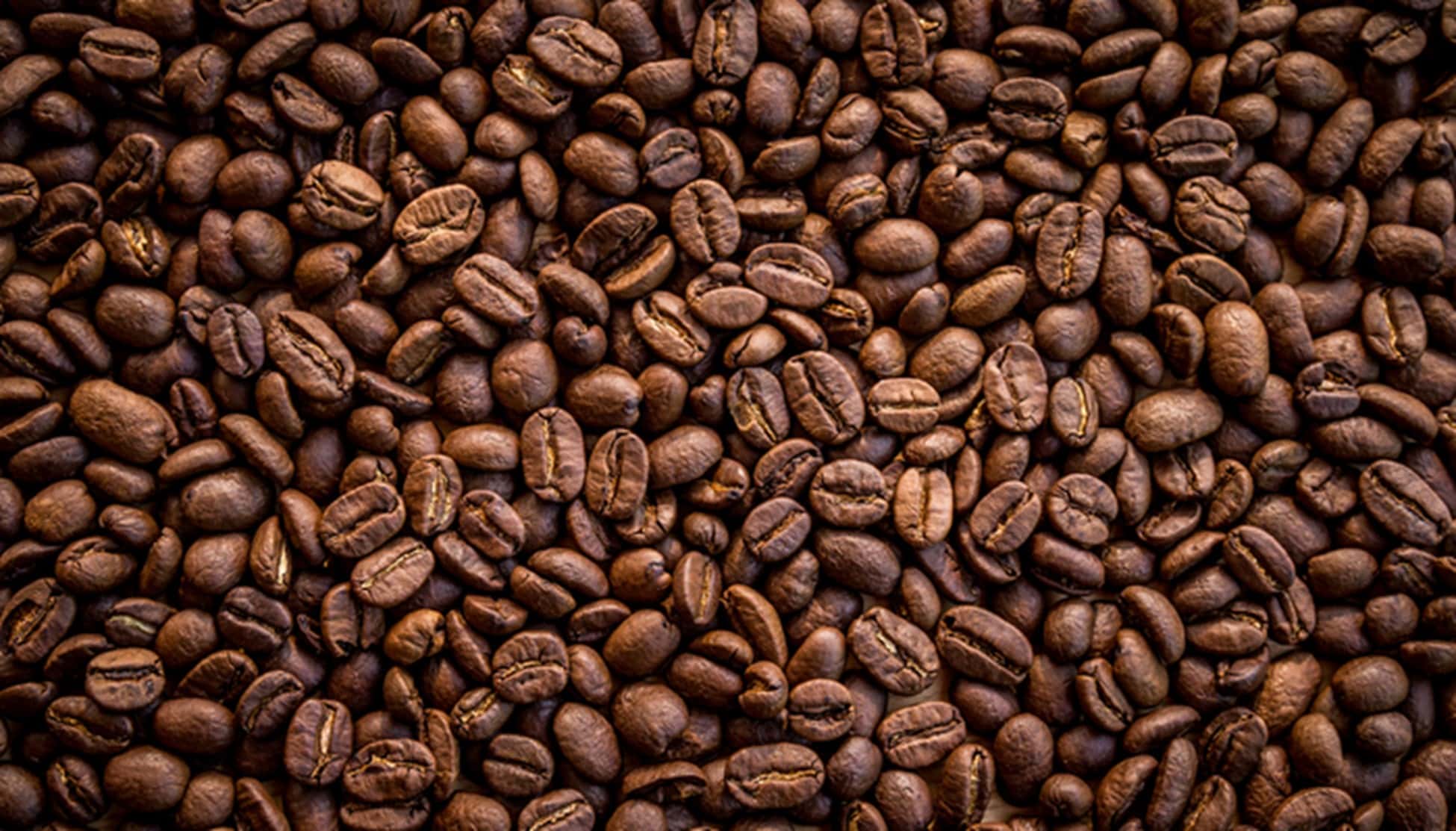 Café en grano, teoría de la oxidación y mantenimiento - Ineffable Coffee