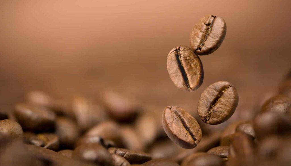 ¿Cómo se procesan los granos de café para su distribución?