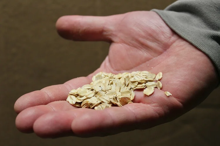A person holding oats