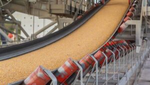 Cablevey's grain conveyor
