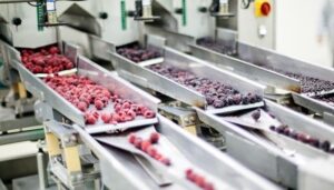 Modern Equipment Used in Food Processing