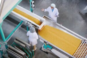 Which conveyors are the most sanitary for food processing