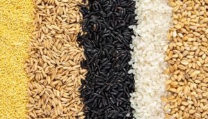 Cinq types différents de grains en petits tas