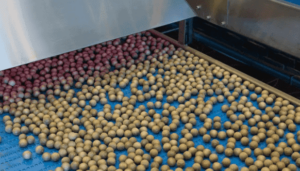 Nuts on a conveyor belt