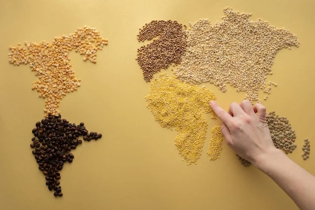 Un mapa del mundo hecho con frijoles.