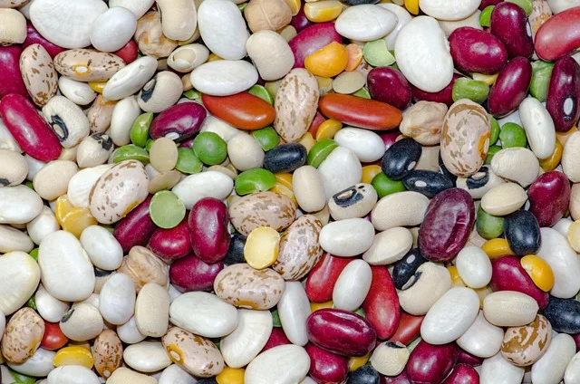 A selection of different dry beans
