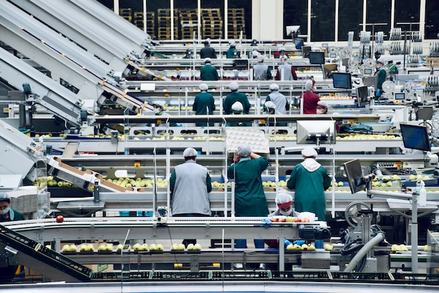 Employees working in a factory