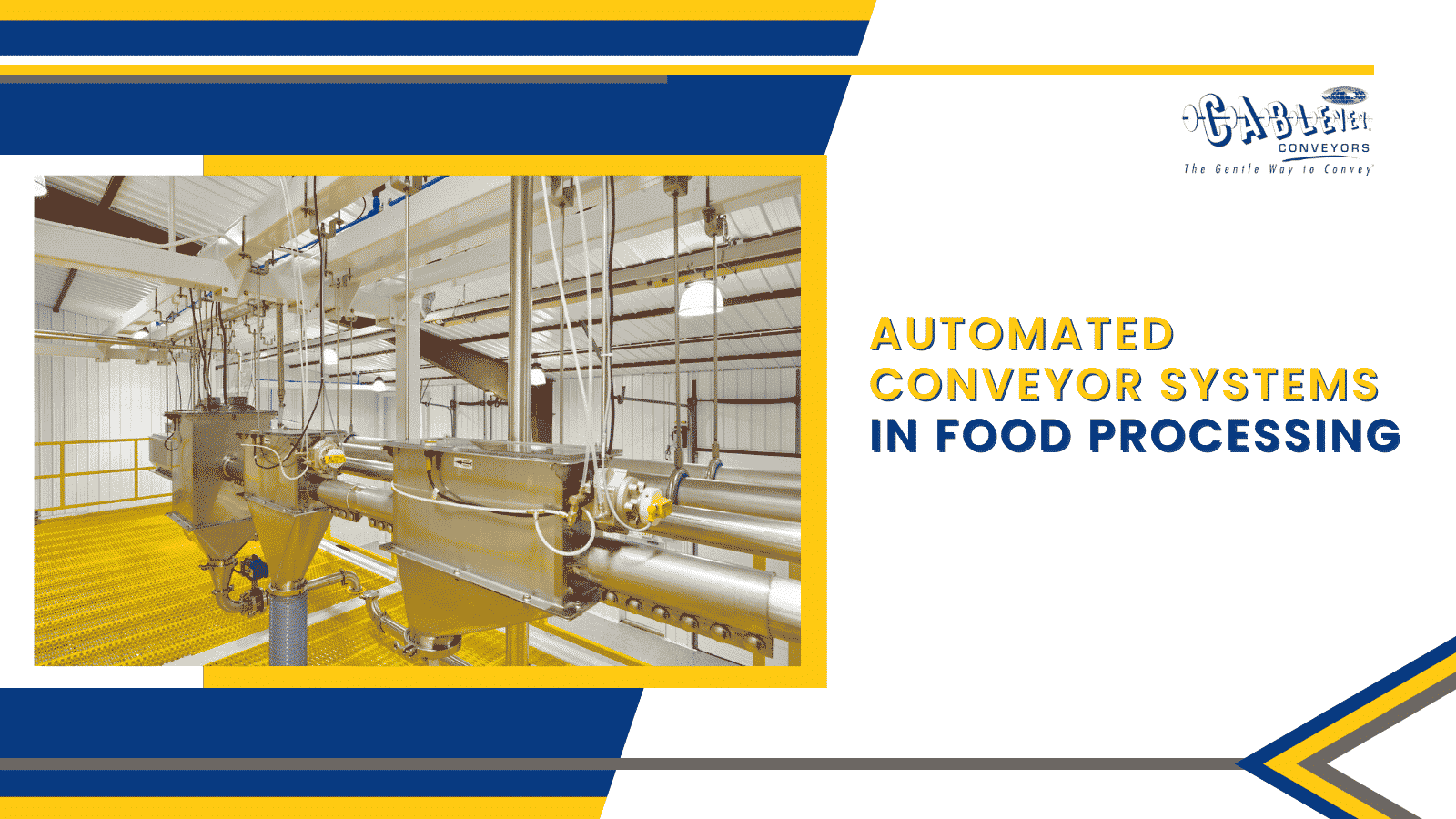 Automated Conveyor Systems In Food Processing