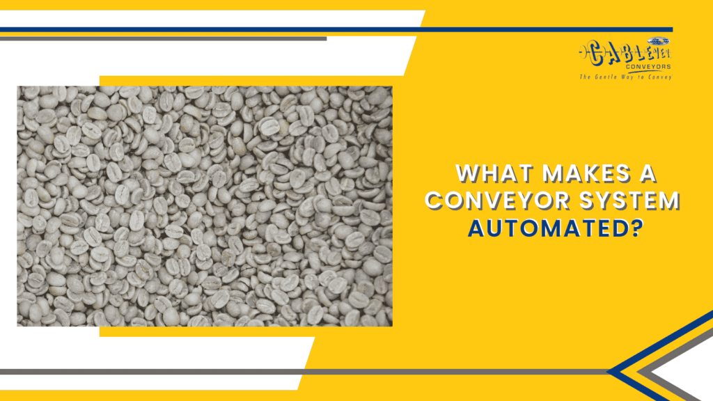 What Makes A Conveyor System Automated