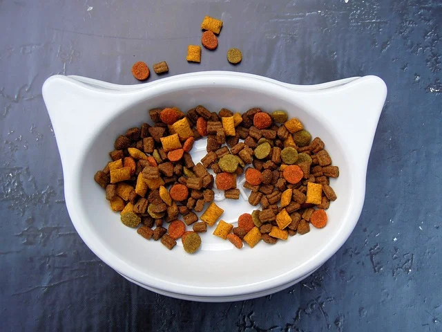 Pet food in a bowl