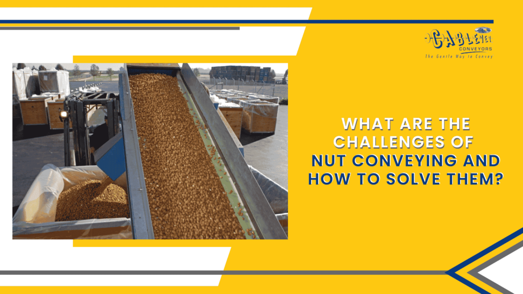 Quels sont les défis liés au convoyage des noix et comment les résoudre ?