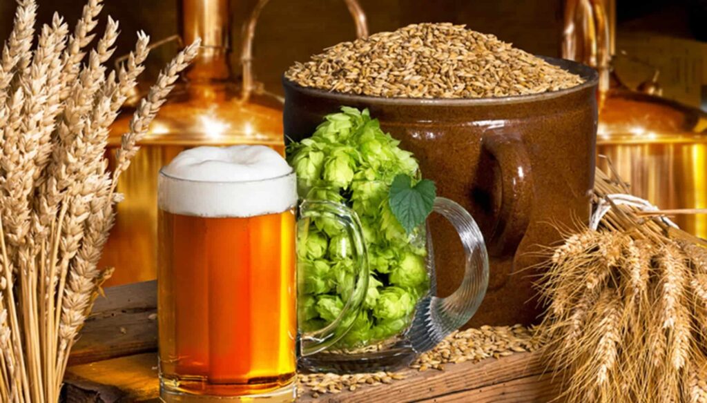Ein Pint Bier umgeben von Getreide