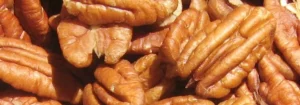 Un tas de noix de pécan