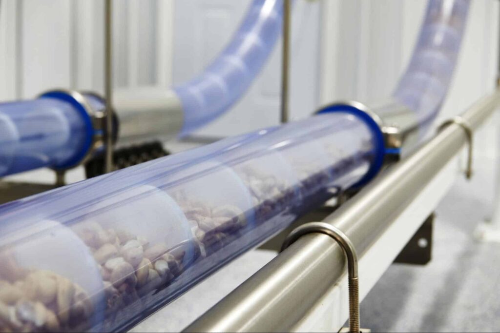 A tubular stainless steel conveyor transporting nuts