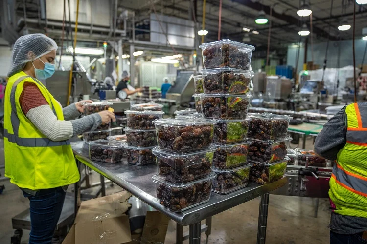 Arbeiter verpacken Obst