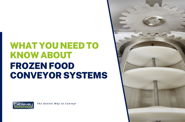 What You Need To Know About Frozen Food Conveyor Systems