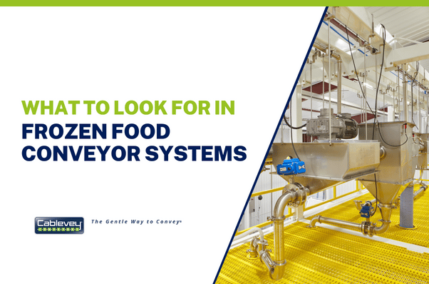 What to look for in frozen food conveyor systems