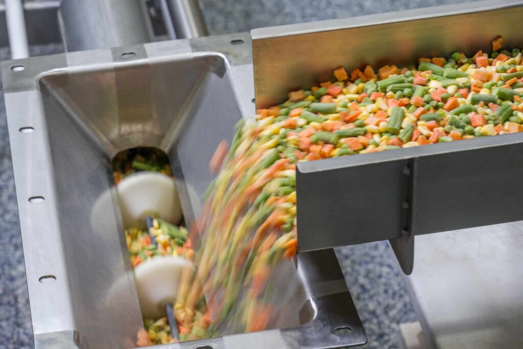 Your Go-To Guide For Stainless Steel Conveyors In Food Processing