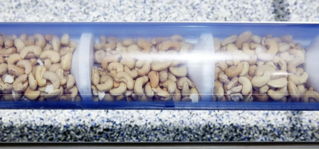 A conveyor full of nuts