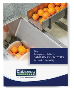 Complete Guide to Sanitary Conveyors in Food Processing